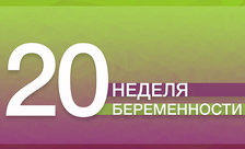 Что такое синдром гнездования. Смотреть фото Что такое синдром гнездования. Смотреть картинку Что такое синдром гнездования. Картинка про Что такое синдром гнездования. Фото Что такое синдром гнездования