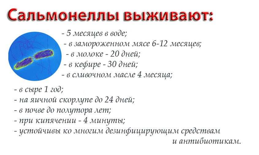 Лечение сальмонеллеза у взрослых препараты. Лечение сальмонеллеза у детей. Препараты при сальмонеллезе у взрослых. Сальмонеллез антибактериальная терапия. Принципы терапии сальмонеллеза.