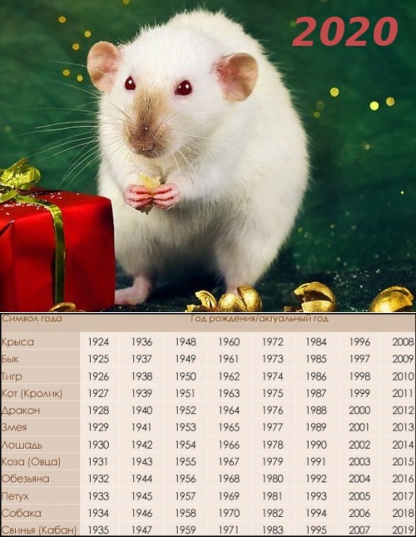 Гороскоп крысы на апрель 2024. Годы животных. Восточный гороскоп по годам. 2020 Год год. Календарь животные.